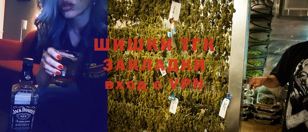 дурь Богданович