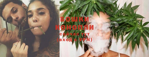 прущий лед Богородицк