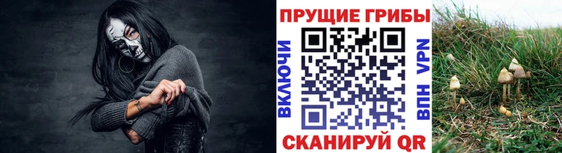 Псилоцибиновые грибы GOLDEN TEACHER  Волжск 