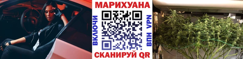 Каннабис сатива  закладки  Волжск 
